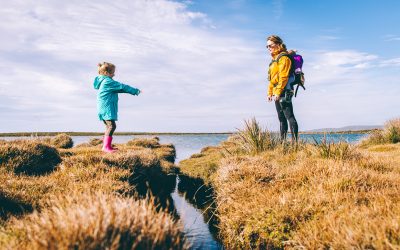 7 consejos para elegir un seguro de vida