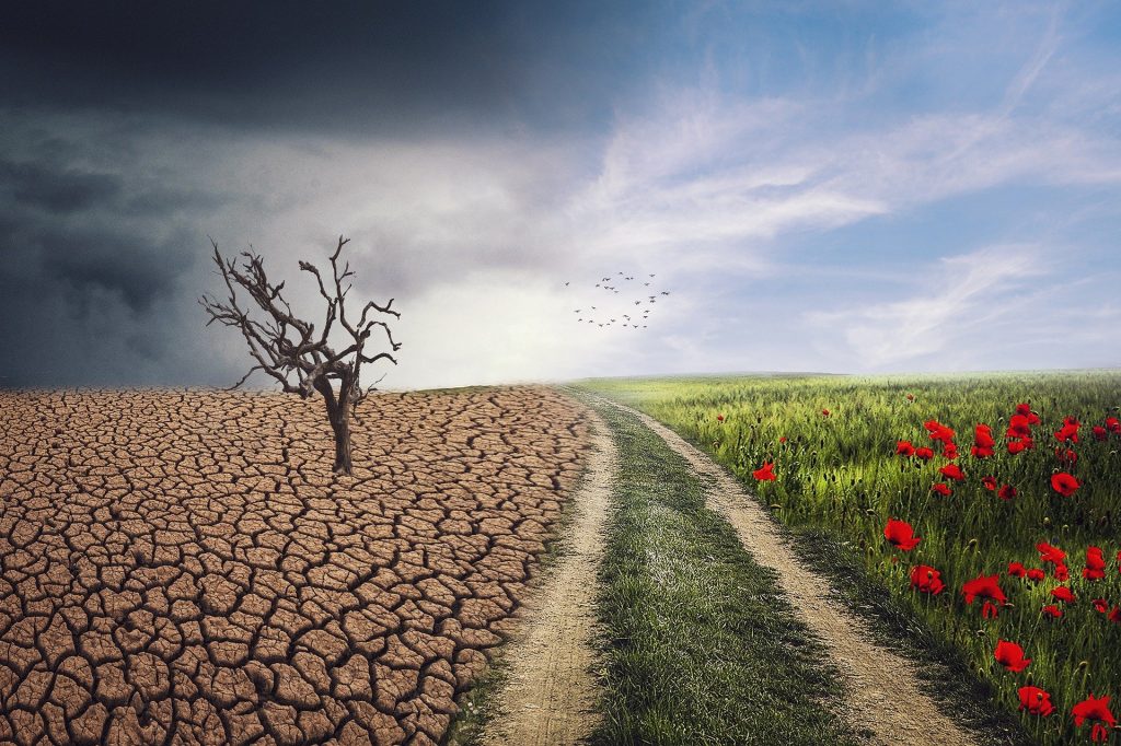 Riesgos Globales que amenazan nuestro Futuro 1 Riesgos Globales que amenazan nuestro Futuro